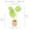 Amazon Planta Artificial Suculenta Imán de Corcho Imán de Refrigerador Decoración del Hogar Estilo Pastoral Suculenta Creativa Atracción Magnética