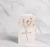 Fabricante Original Algodão Flor Real Buquê DIY Flor Imortalizada Folha de Leque de Juncos Cabeça de Algodão Flor Seca Lu Lide Planta