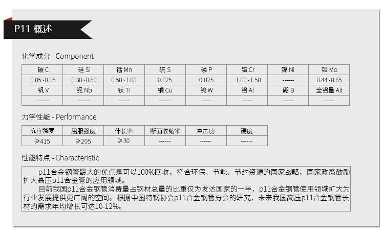 P11.jpg