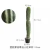 Cacto Artificial Planta Verde Decorativa em Vaso Biónica Tropical Desértica Pacote de Paisagismo Combinação Falso Cactus
