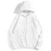 Suéter Colorido Casual com Capuz Novo de Primavera para Homem, Cardigan Solto de Manga Longa com Zíper, Casaco para Casal, Fornecimento