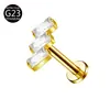 Fabricante de e-commerce transfronteiriço Liga de Titânio G23 F136 Cravejado Zircônia Olho de Gato Folha Flor Piercing Joias Tachinhas Tachinhas de Lábio