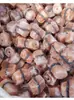 Blocos de Sal, Sal para Gado, Bovinos, Cavalos, Ovelhas Lamber Sal, Blocos de Lamber, Sal do Himalaia, Sal Rosa, Blocos de Sal Mineral, Blocos de Lamber do Paquistão