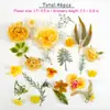 Explosões transfronteiriças 46 peças de grampo de cabelo de simulação cor de outono folhas de rosa plantas aquáticas DIY guirlanda de Natal arranjo de flores acessórios
