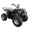 Vehículo de Nieve Todoterreno para Playa y Todoterreno de Cuatro Ruedas Toro Grande y Pequeño Atv125Cc-250Cc