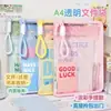 Bolsa de documentos portátil na cor macaron, bolsa de livros para estudantes, bolsa transparente com zíper de alta aparência para armazenamento de livros e provas