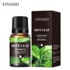 Aceite Esencial de Aromaterapia Soluble en Agua para Refrescar el Aire del Hogar, Dormitorio y Coche y Difusor de Fragancia Duradera Fabricante Mayorista de Aceites Esenciales de Madera