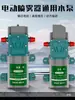 Aspersor Eléctrico Bomba de Alta Presión Motor de 12V Accesorios Aspersor Universal Bomba de Agua de Doble Núcleo de Alta Potencia