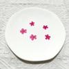 Linda Sakura Cor Natural Flor Seca Em Relevo Material Pacote Flor DIY Marcador Gota Cola Flor Seca Flor Planta Espécime