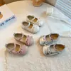 Sapatos de Couro Infantis, Sapatos de Princesa para Meninas, Novo Modelo Outono 2026, Sapatos Individuais para Meninas Pequenas, Sapatos de Performance com Solado Macio para Bebês e Crianças Pequenas