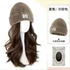 Peluca con Gorro para Mujer con Cabello Largo y Ondulado de Olas Grandes Otoño e Invierno Peluca de Gorro Tejido Pieza Única No Desmontable Peluca Cobertura Completa de Cabeza