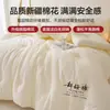 Producto Bueno de Invierno Color Sólido Núcleo de Edredón de Algodón de Xinjiang Funda de Edredón para Primavera y Otoño Cama Doble Edredón de Invierno 2026 Nuevo Estilo Universal para Todas las Estaciones