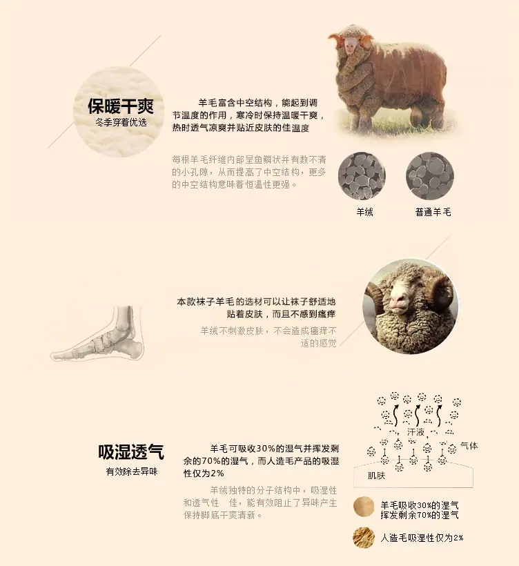 模版5 拷贝