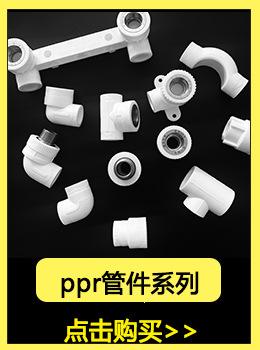 PPR系列