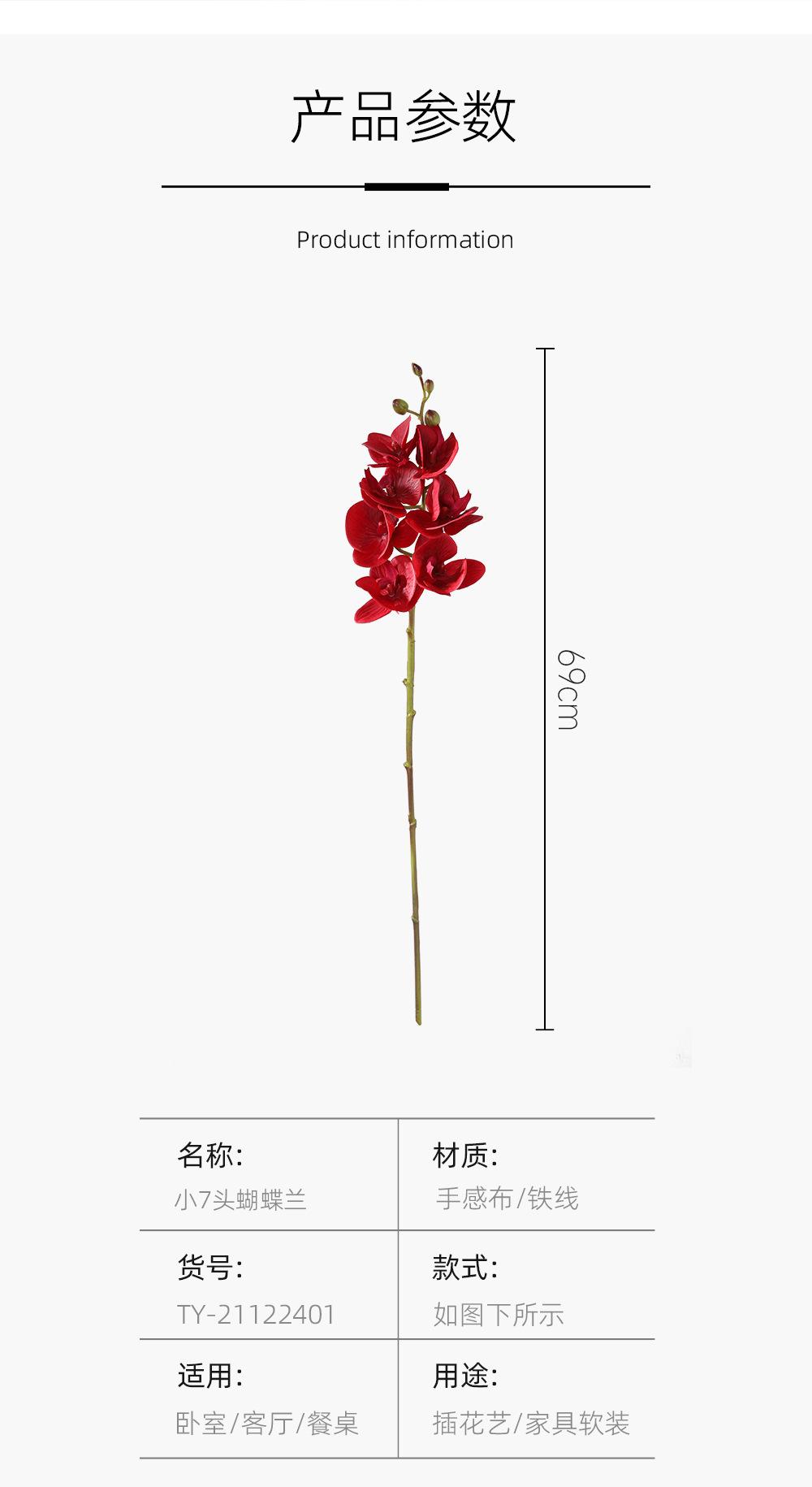 小7头蝴蝶兰详情图