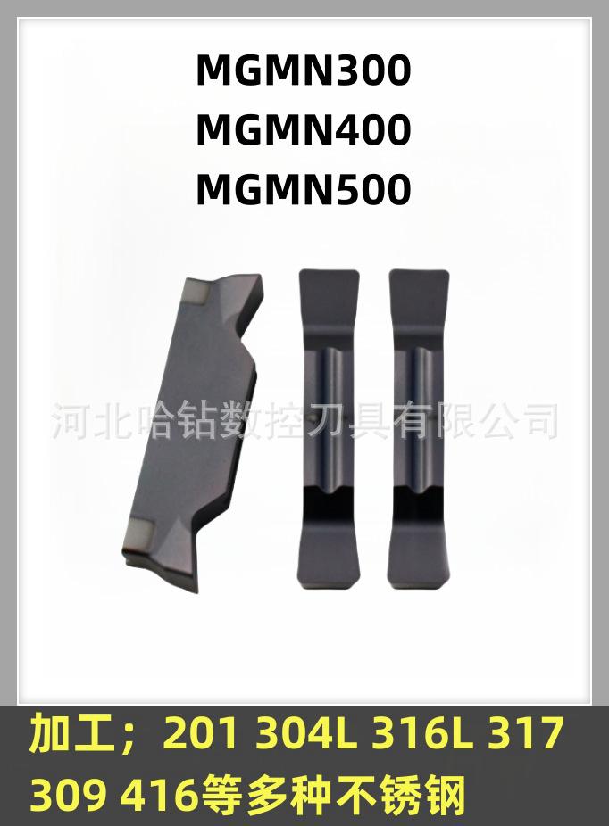 MGMN300 HS7125