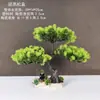 Decoração de Enfeite de Mesa Pinheiro Bem-vindo Pequeno Pinheiro Plantas Verdes Plantas Aquáticas Mini Rochedo Aquário Paisagismo Hotel
