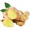 Jengibre Fresco de Guizhou, Jengibre Amarillo Pequeño, Jengibre Viejo Cultivado en Granja, Jengibre Amarillo Pequeño, Jengibre de Arena, Jengibre Postparto, Jengibre Pequeño