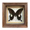 Marco de Fotos con Foto de Mariposa Real Pintura Decorativa Estilo Europeo Marco de Fotos Vintage Decoración de Mesa Adorno para Muebles Regalo de Cumpleaños Presente