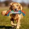 Juguete masticable para perros Rainbow Twist Candy con chirriador para rechinar los dientes, juego interactivo, resistente a las mordeduras, suministros para mascotas