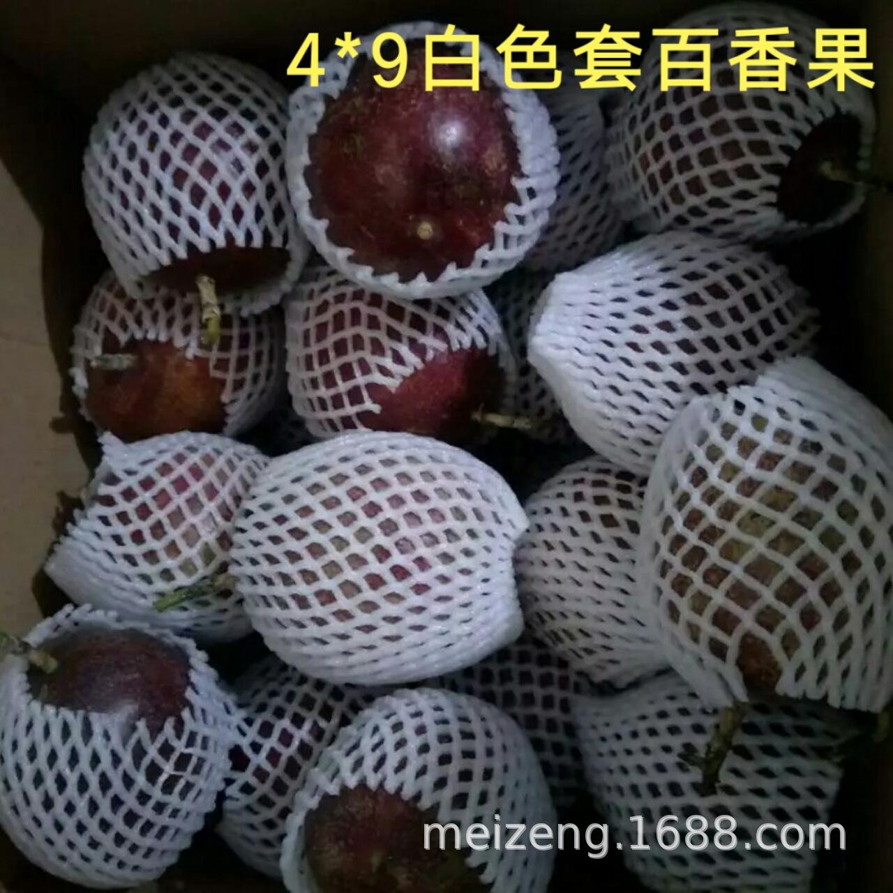 水果泡沫网套 (6)