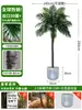 Grande Palmeira Areca Simulada Planta Tropical Coqueiro Planta Verde Biônica de Interior Árvore Falsa Atmosfera Paisagismo Ornamentos em Vaso