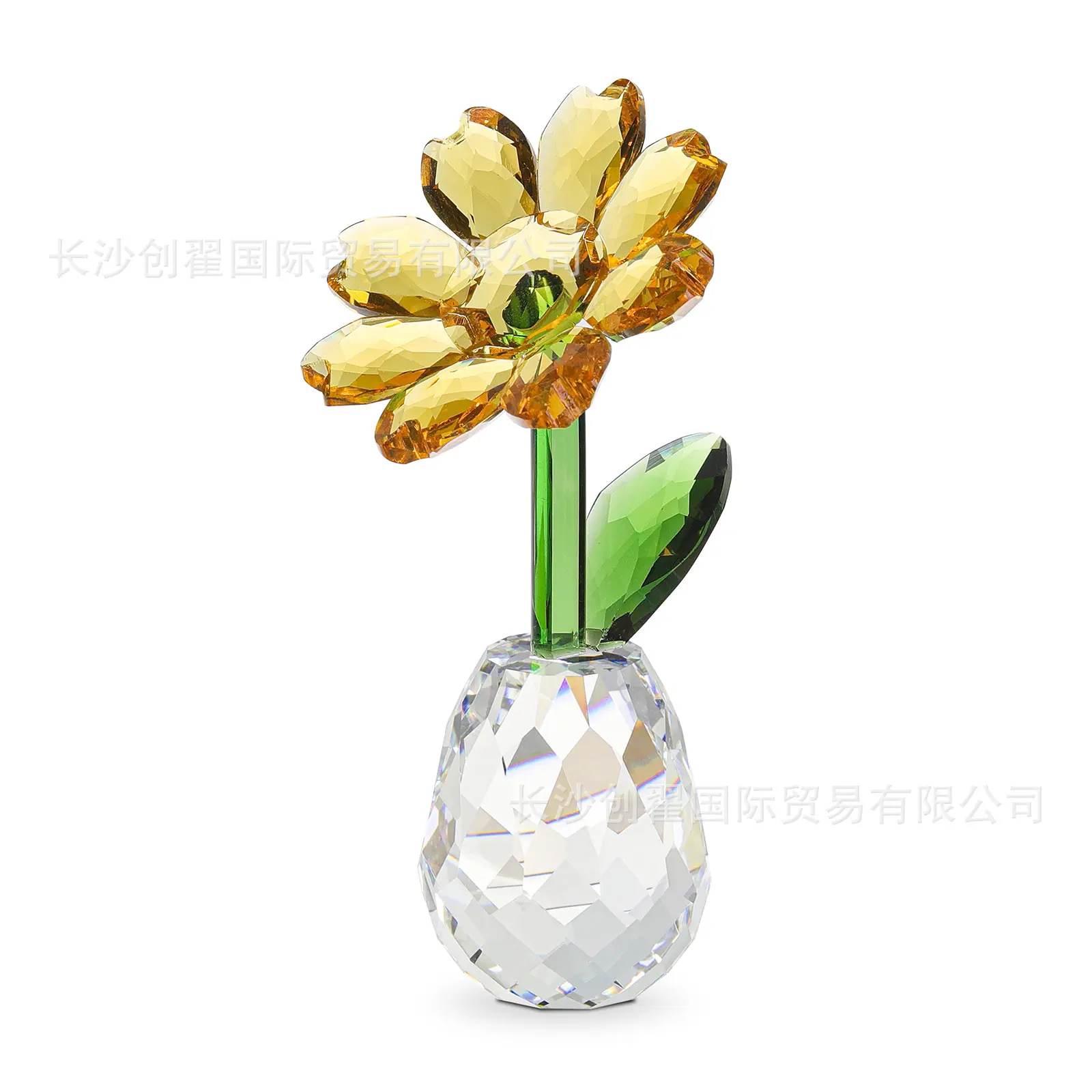 太阳花_01.jpg
