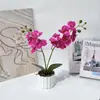 Bonsai de orquídea phalaenopsis realista de 12 flores de 2 puntas impreso en 3D decoración creativa planta en maceta artificial superventas transfronterizo