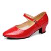 Zapatos de Baile Latino para Mujer, Zapatos de Baile Plateados, Zapatos de Baile Cuadrado, Zapatos de Baile Moderno de Xinjiang, Baile de Salón Étnico, Patrón de Piedra