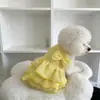 Vestido de princesa para perro, novedad de verano, fino, de peluche, Bixiong, ropa para perro pequeño, suministros, vestido de caramelo, ropa para gato