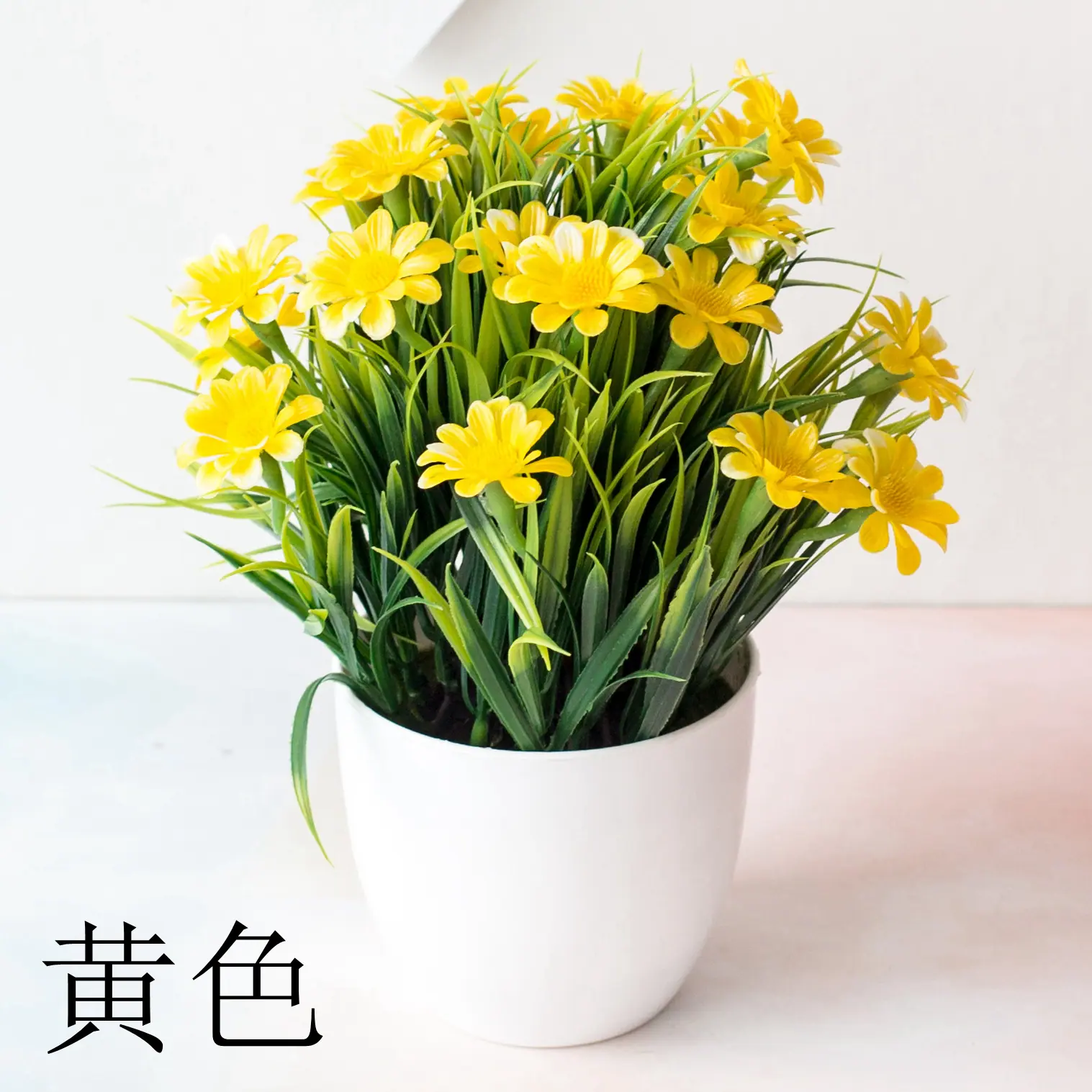 春草菊花