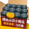 Calabaza Beibei 2.50kg Comida para Bebé Sabor Castaña Calabaza Verduras Frescas Calabaza Mini Venta al por Mayor Envío Gratis 3