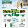 Bolsa anticongelante de tela no tejida para plantas de invierno, funda protectora con cremallera engrosada para arbustos, funda de jardinería a prueba de insectos y heladas, suministro directo