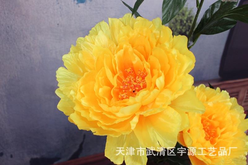 IMG_9422_副本.jpg