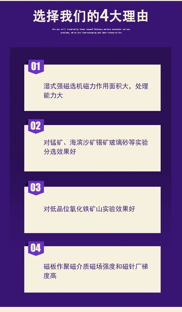 湿式强磁选机 (7).jpg