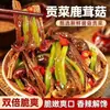 Especialidade de Hunan Cogumelo de Chifre de Veado Pacote Grande Pronto para Comer Lanche Picante que Satisfaz a Vontade Prato Lateral Vegetal Sabor Picante
