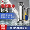 Bomba sumergible de acero inoxidable 304 para uso doméstico, resistente a la corrosión, alto levantamiento, alto flujo, doble propósito para limpieza y drenaje (De la gente)