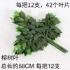 Ramo de Plantas Verdes para Boda, Hojas de Árbol, Espárrago, Arreglo Floral, Hierba de Planta, Decoración de Salón de Bodas, Hojas Verdes, Arreglo Floral Artificial