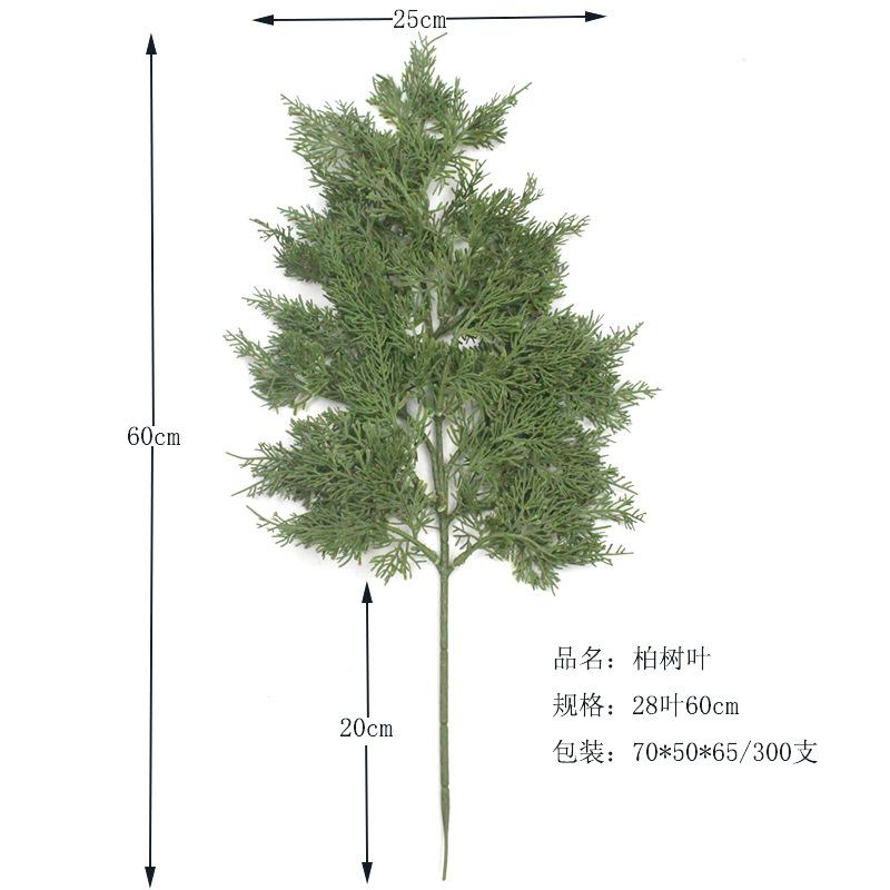 柏树叶 (8).jpg