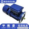 Motor de Frenado Asíncrono de CA Trifásico Italiano Bruni 0.9~220Kw Codificador Motor de Frenado de Frecuencia Variable