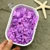 Flor Eterna Anna, 5g DIY Cubierta de Vidrio con Flores Estilo Ins Marco de Fotos de Flores Secas con Flores Botella de los Deseos
