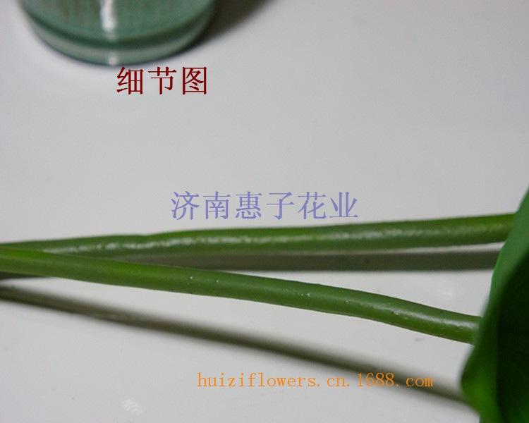 DSC02963_副本
