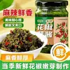 La primera cosecha de salsa de brotes de pimienta de Sichuan de Nan Xiaoxian es una deliciosa salsa para mezclar con arroz, para usar en sándwiches y como condimento para la cocina casera.. Es picante y fresco