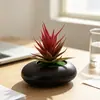 Maceta pequeña plana transfronteriza planta de aloe vera artificial en maceta decoración para interior hogar y oficina escritorio planta suculenta bonsái