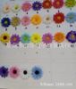 Ventas Directas de Fábrica Guirnalda Joyería Diadema Accesorios para el Cabello Novia Dama de Honor Guirnalda Diadema Foto Accesorios Festivos