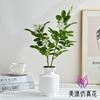 Flor Artificial Flor de Árvore de Dois Galhos Paisagem Planta em Vaso Flor Artificial Decoração Criativa de Mesa Interna Decoração de Planta Verde Bonsai Artificial