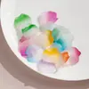 Pétalas de Flores Brilhantes em Gradiente de Cor Única Brincos DIY Pingente Acrílico Personalizado Acessórios para Penteado Atacado