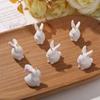 Cinturón colgante de resina con forma de conejo con dibujos animados súper lindos, accesorio DIY para mochila, llavero, colgante para teléfono móvil, material