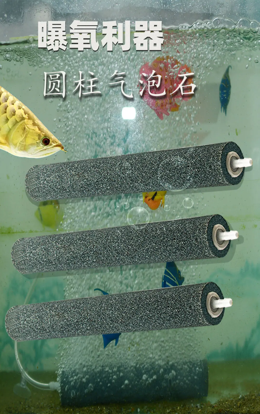 详情页_01