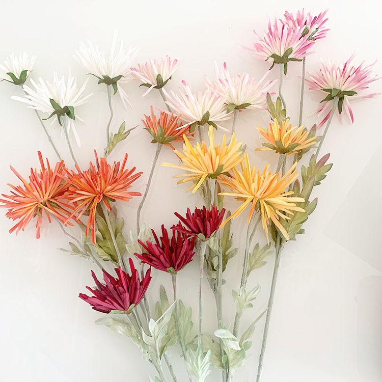 IMG_8041(20220721-111141)